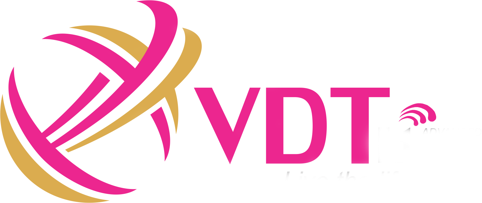 VDT logo